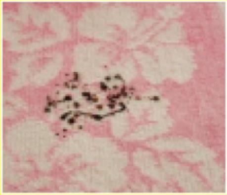 消っし隊!PROはカーペットの汚れシミ落としに